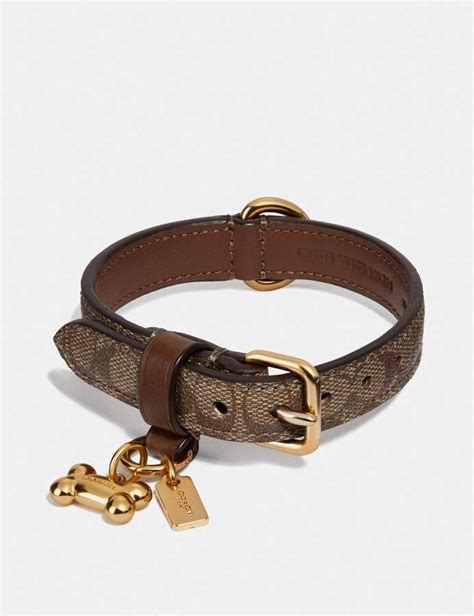 coach cat collars